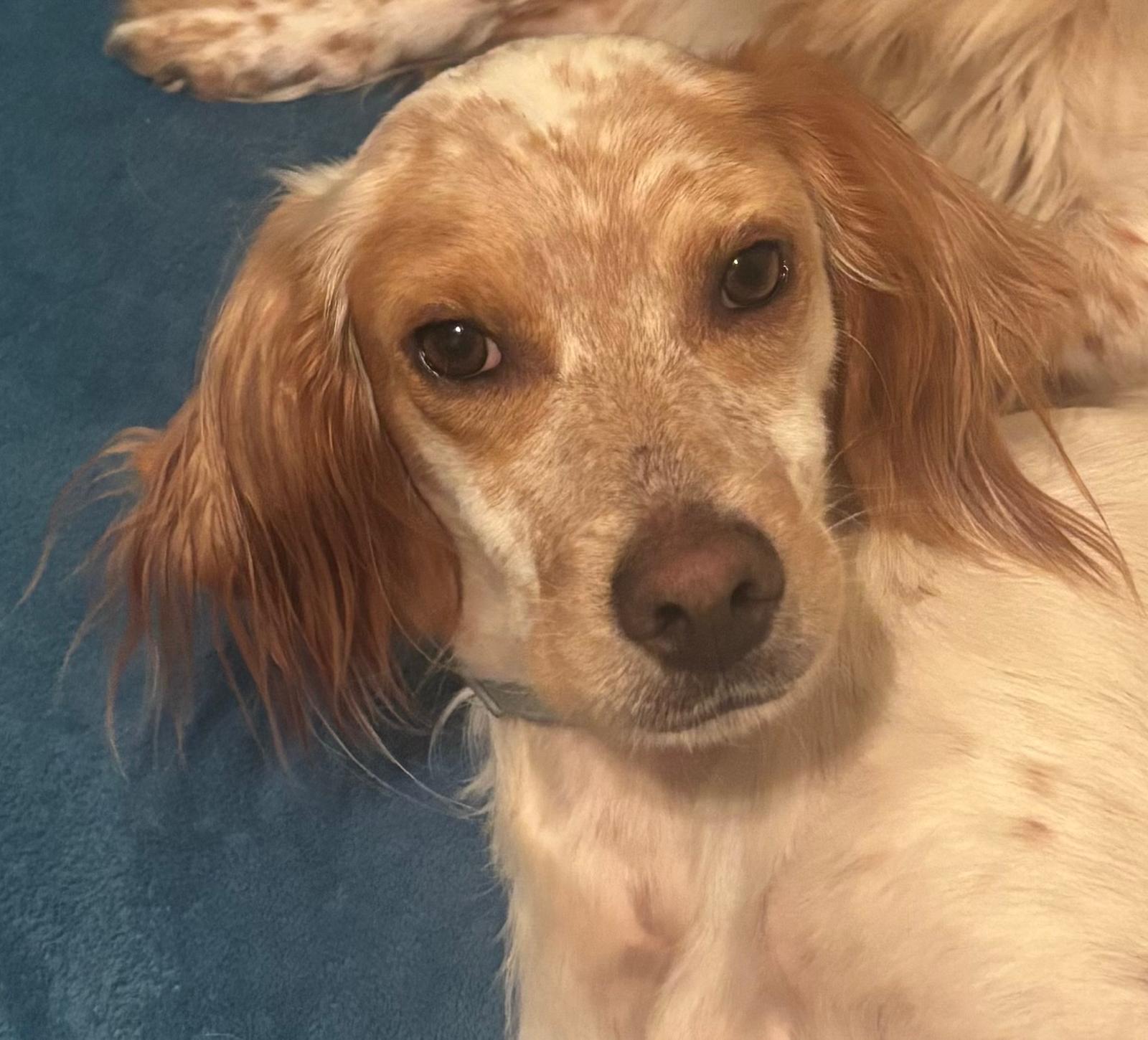 Charlie