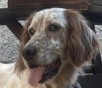 Zoe