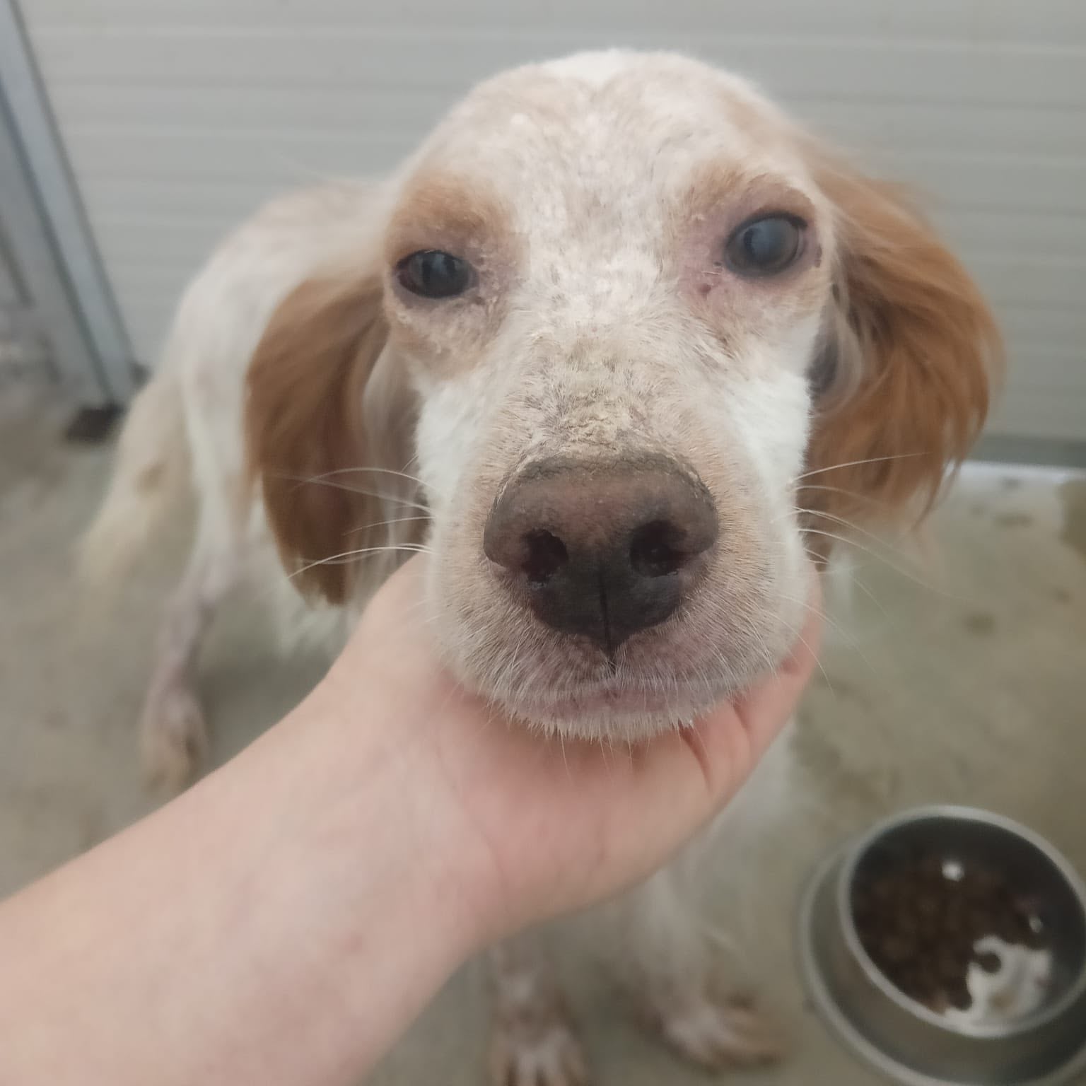 Charlie