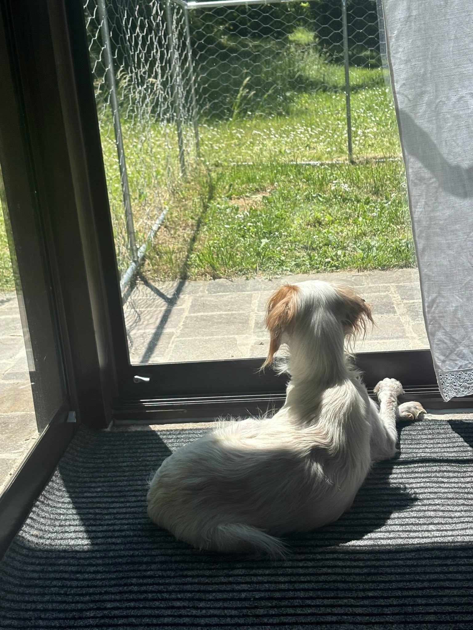 Charlie