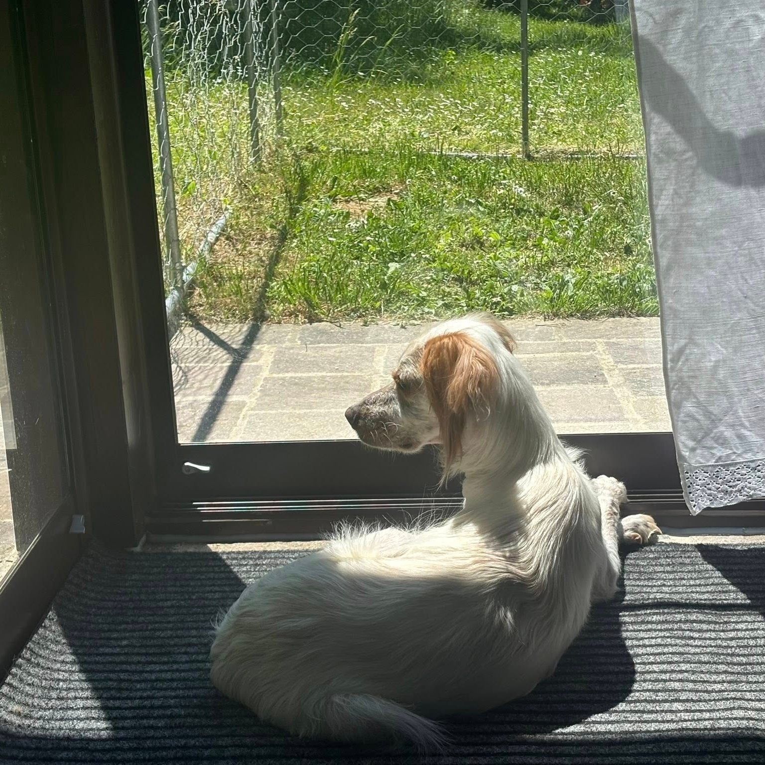 Charlie