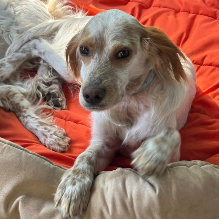Charlie
