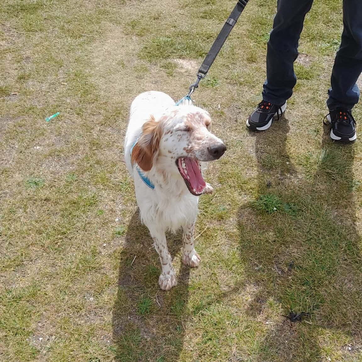 Gus