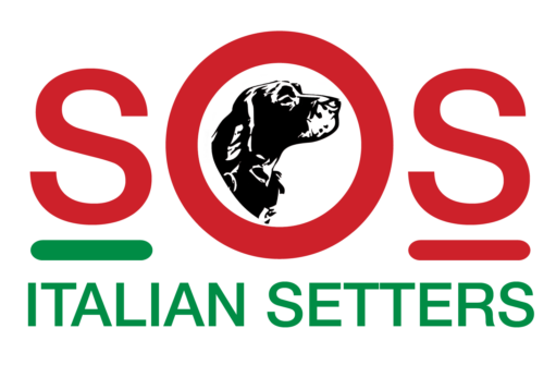 SOS Italian Setters