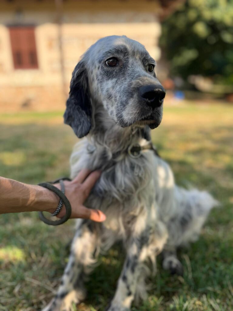Rudy