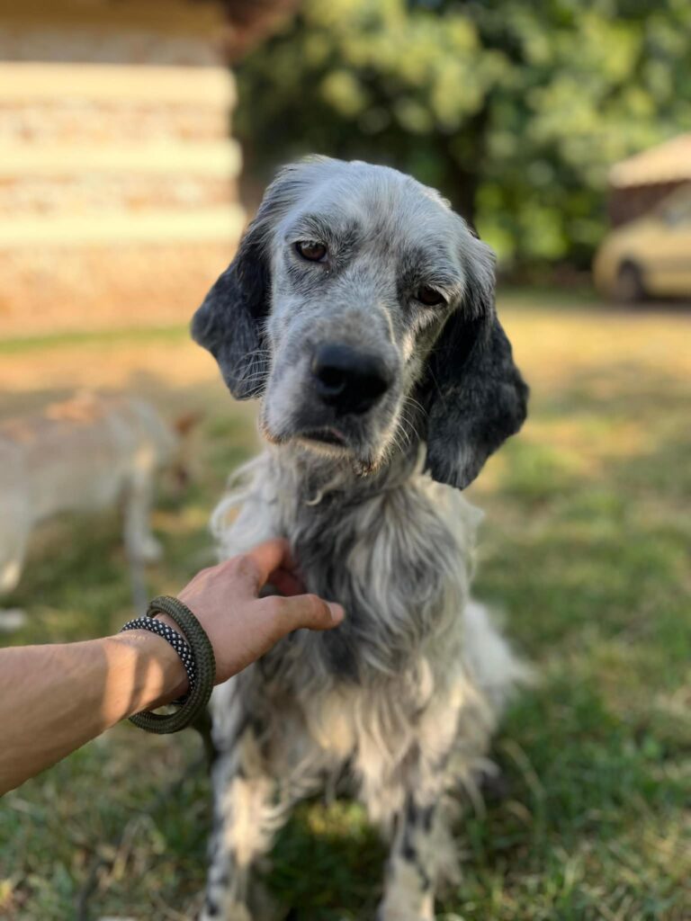 Rudy