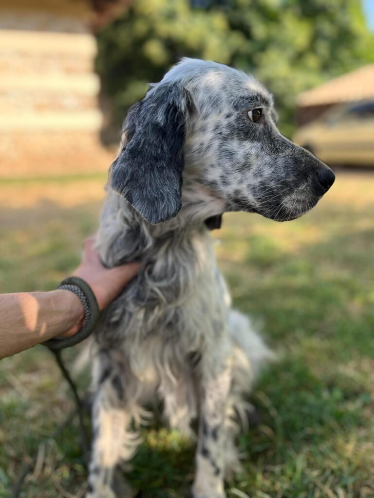 Rudy