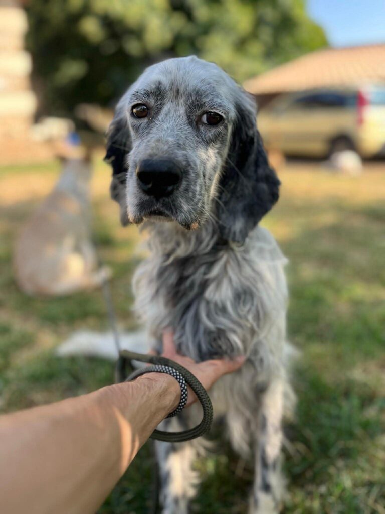 Rudy