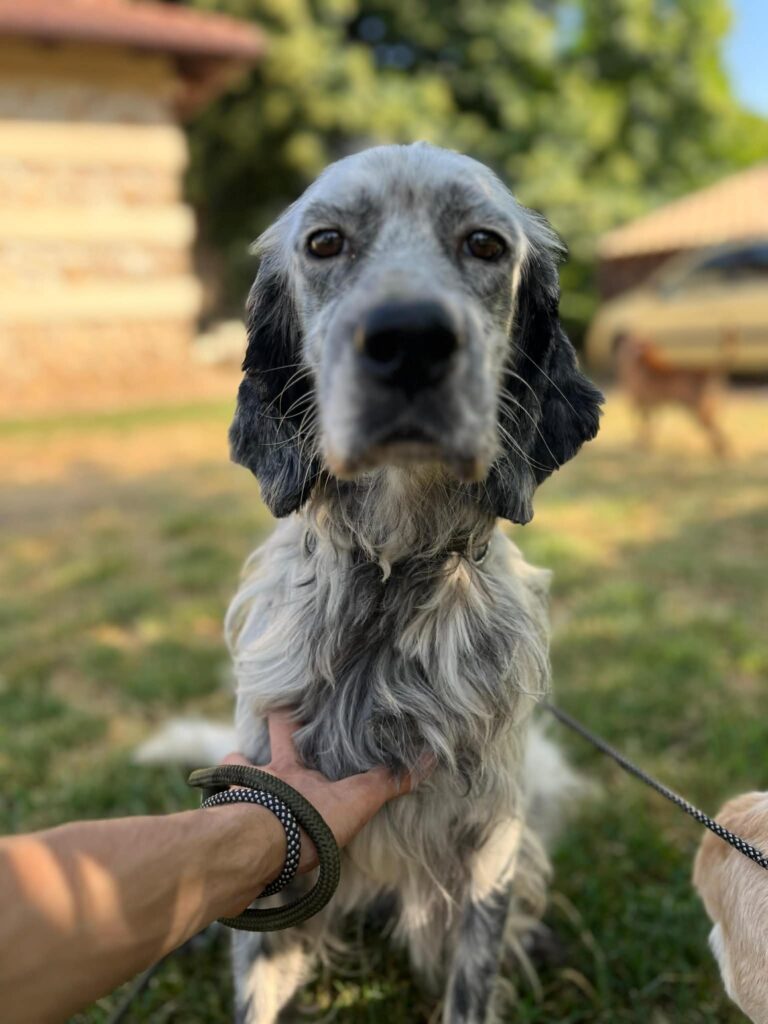 Rudy